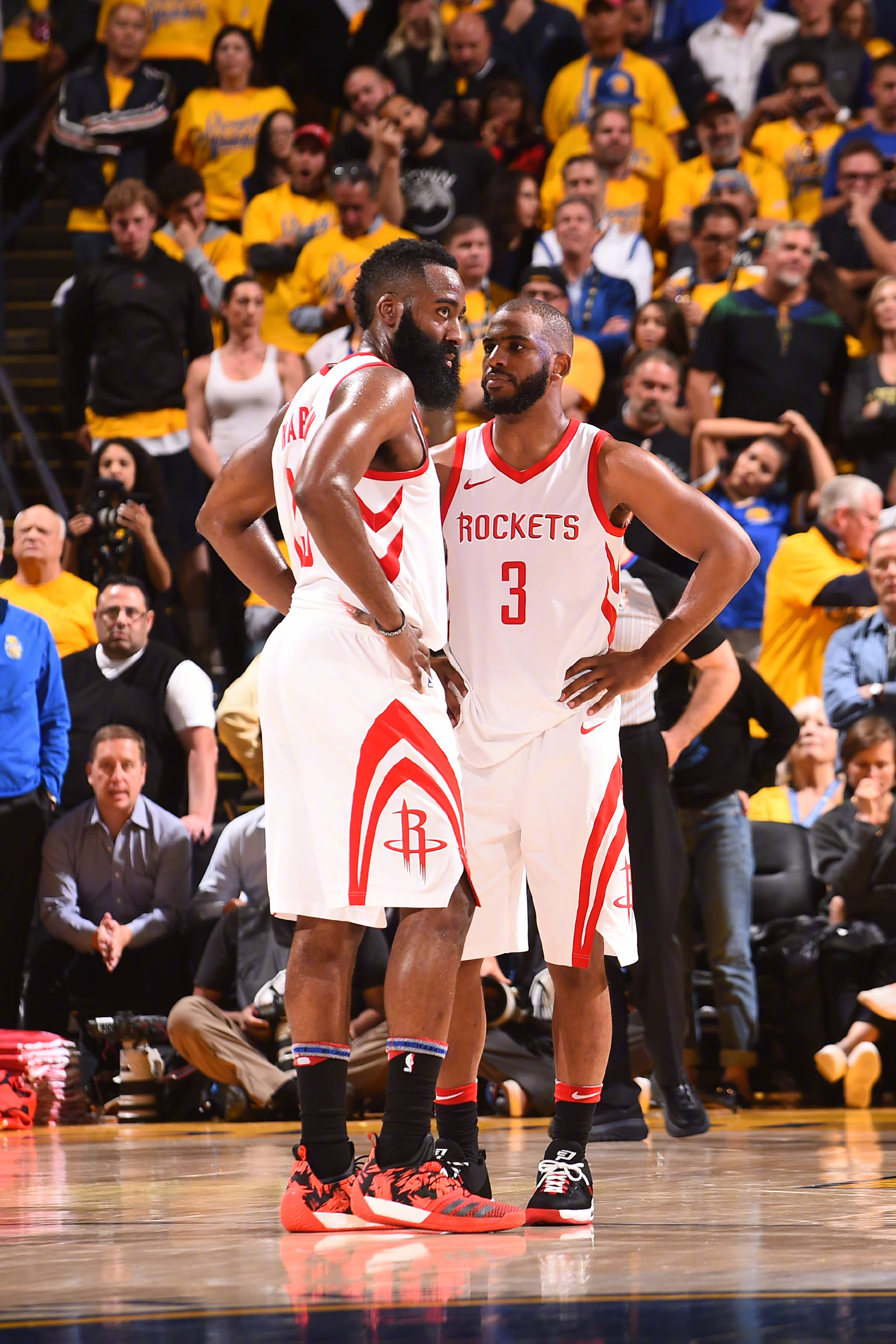 疑将为上海 疑将为上海